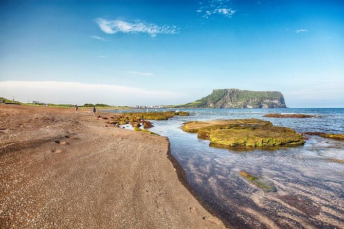 Jeju Island Private Taxi Tour : UNESCO Day Tour - Stop 2: Seongeup Folk Village, stone windbreaks and old-style Jeju living