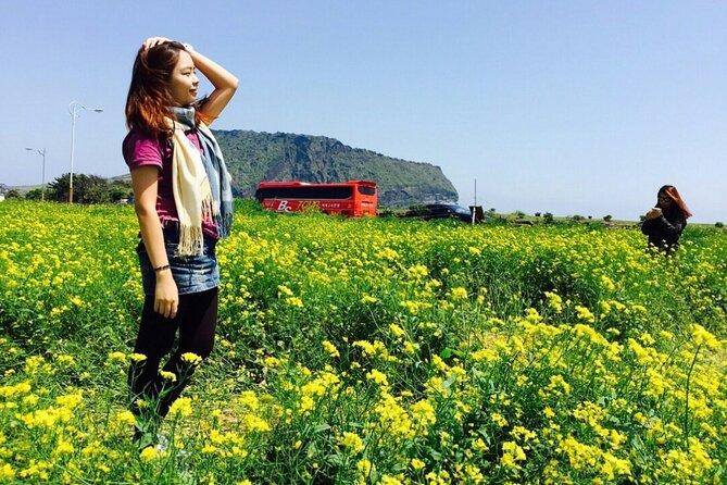 Jeju island Private Tour - UNESCO Day Tour & Haenyeo Performance - When you start from Seogwipo: Jeongbang Falls and Oedolgae