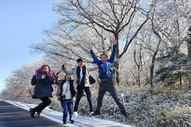 Jeju island Private UNESCO Tour - For Cruise customer - Seongsan Ilchulbong, crater views and the women diver show timing