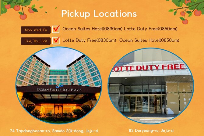 Jeju Island Taxi Join Tour - How a Jeju Taxi Join Tour Cuts Through the Island Chaos