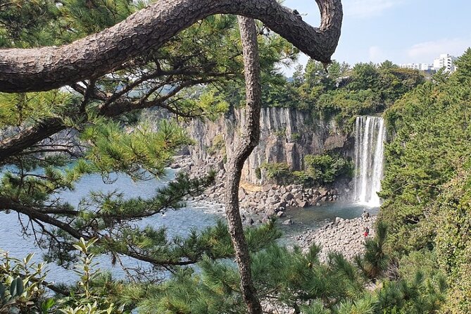 Jeju Island Taxi Join Tour - Traditional Jeju Without the Museum Hallway: Seongeup Folk Village