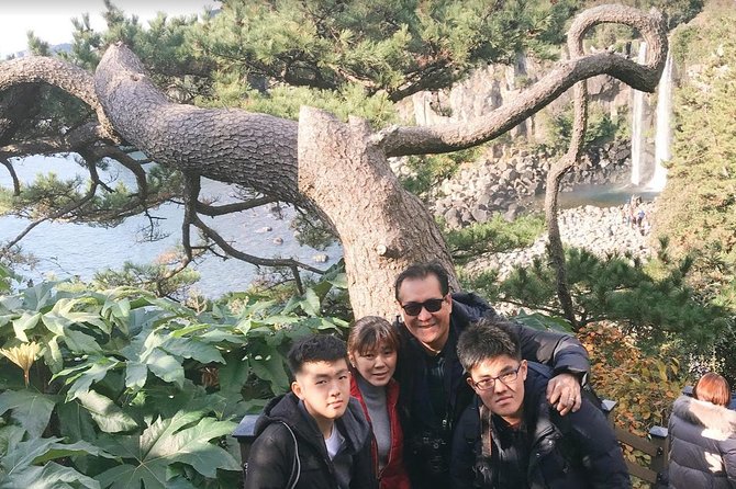 Jeju Island Taxi Tour : South Day Tour - Key things to know before you go
