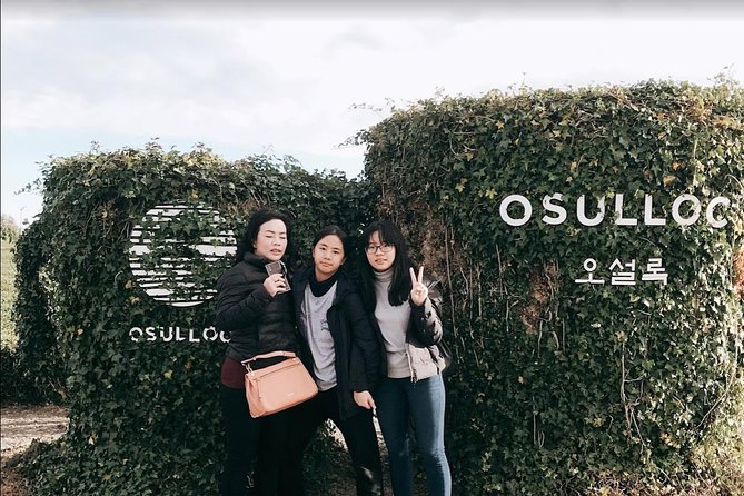 Jeju Island Taxi Tour - West Day Tour - Stop 2: O’sulloc Tea Museum for a calmer, cultural break