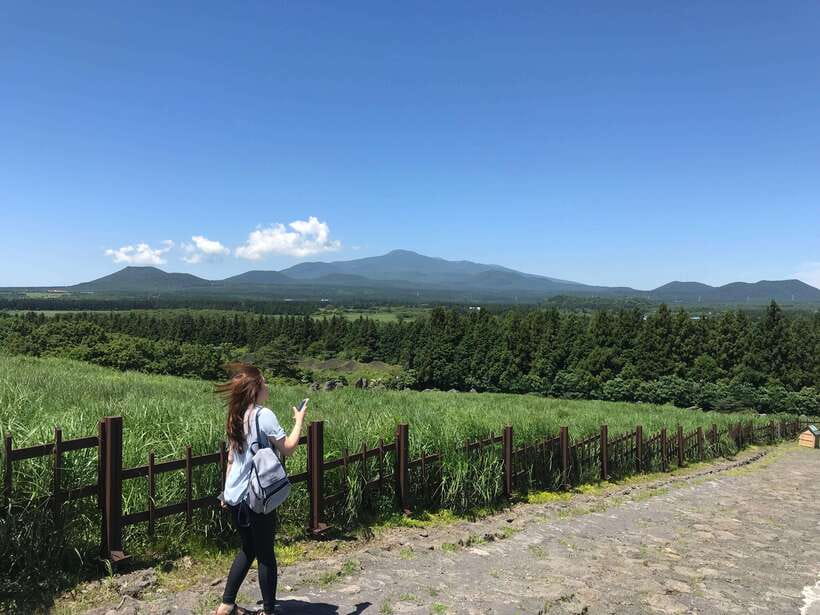 Jeju Island: Van Tour with a Guide Who Most Loves Jeju - Why this 9-hour van day is a smart Jeju plan