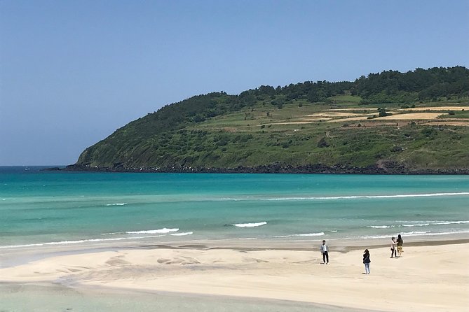 Jeju island: Van tour with a guide who the most loves JEJU - Manjanggul Cave Closure Changes the Day, and That Can Be Good