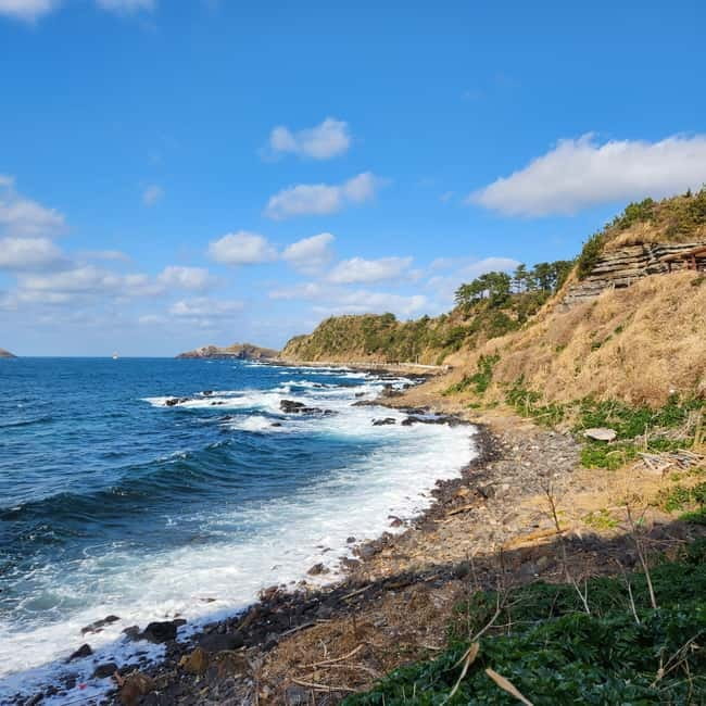 Jeju: Popular Sightseeing Private Car Charter Tour - Why a Jeju private car charter saves your day