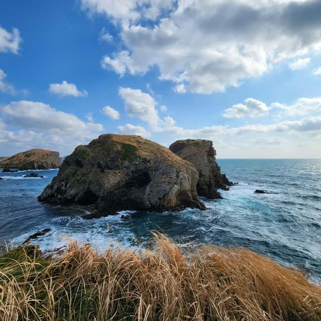 Jeju: Popular Sightseeing Private Car Charter Tour - Budget reality: what $265 covers, and what you still need to pay