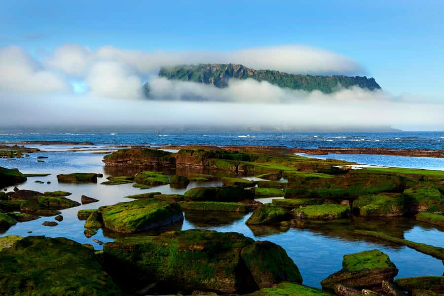 Jeju Premium Small Group UNESCO Day Tour - East - Haenyeo Museum: Women Divers and UNESCO Intangible Heritage Context