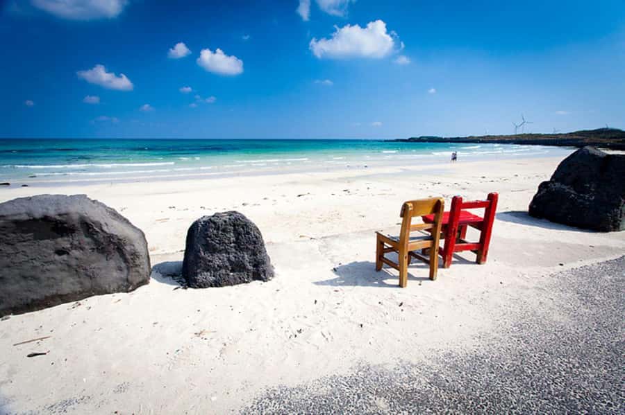 Jeju Premium Small Group UNESCO Day Tour - East - Lunch Timing and Food Options: What You Should Expect