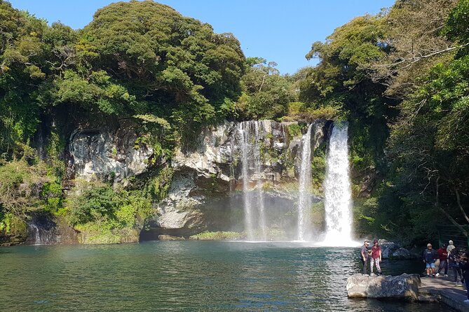 Jeju Premium Small Group UNESCO Day Tour - South Course - Seogwi Dawon tea farm stop: the calm ending you deserve