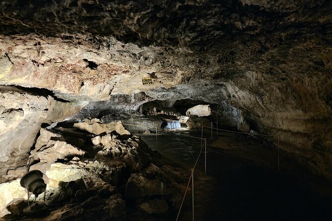 Jeju Premium Small Group UNESCO Day Tour - West Course - The Guides: English-Only Clarity, Plus Real-World Help