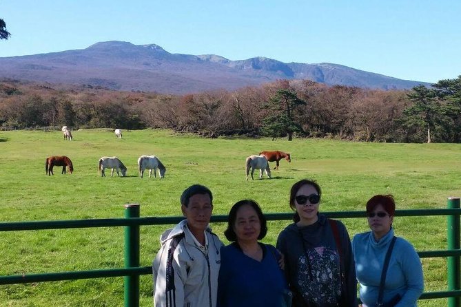 Jeju Private Full day tour of UNESCO Day Tour - Seongsan Ilchulbong: Steep Climb, UNESCO Status, and Women Diver Show