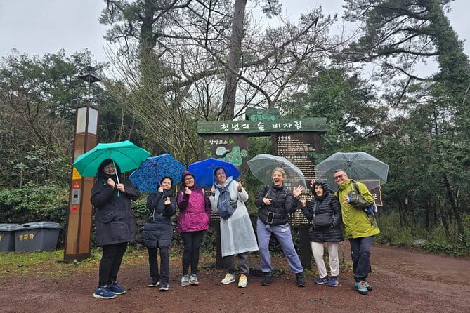 Jeju Private Half-Day Tour for Cruise Customers - Key Highlights You’ll Actually Care About