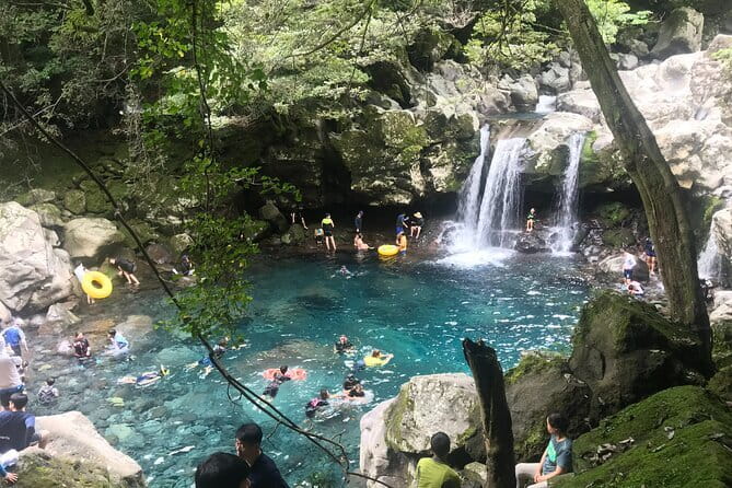 Jeju Private Half-Day Tour for Cruise Customers - What Changes on Mondays When the Museum and Plateau Close