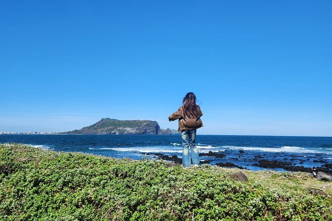 Jeju Private Half-Day Tour for Cruise Customers - Price and Value: When $350 per Group Makes Sense