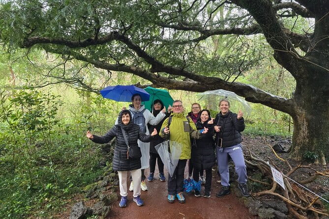 Jeju Private Half-Day Tour for Cruise Customers - Stop 1: Jeju Stone Park, Rock Culture in a Tight 20-Minute Frame