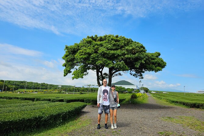 Jeju Private Tour Package-South of Jeju(Mt.Hallasan & Waterfalls) - Jeongbang Falls: the only one in Korea that drops straight to the sea