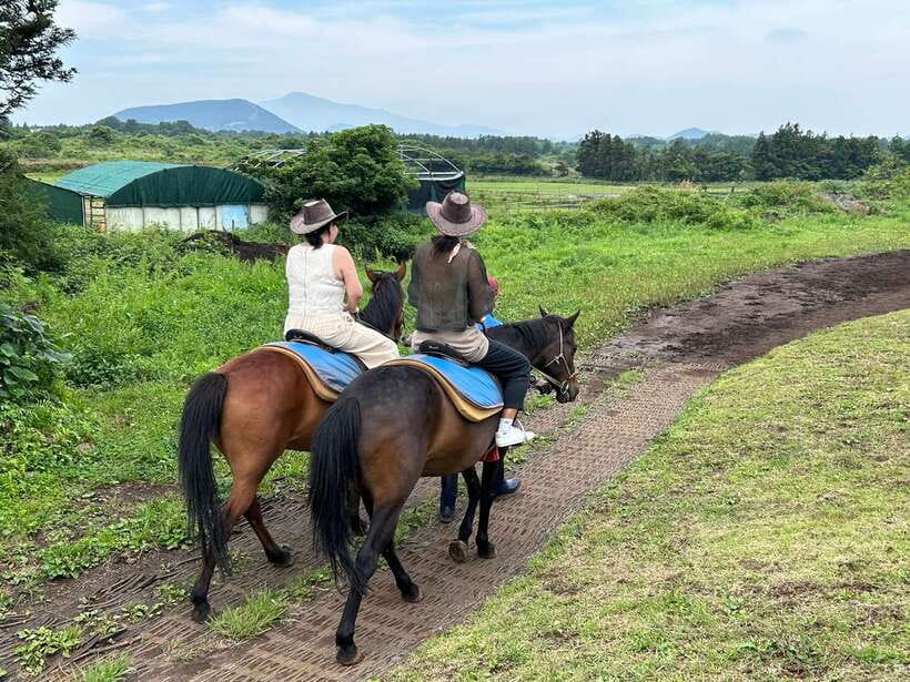 Jeju: Private Tour with an English Guide and a Vehicle - Haenyeo, then Waljeung or Sehwa beach road: keep your eyes moving