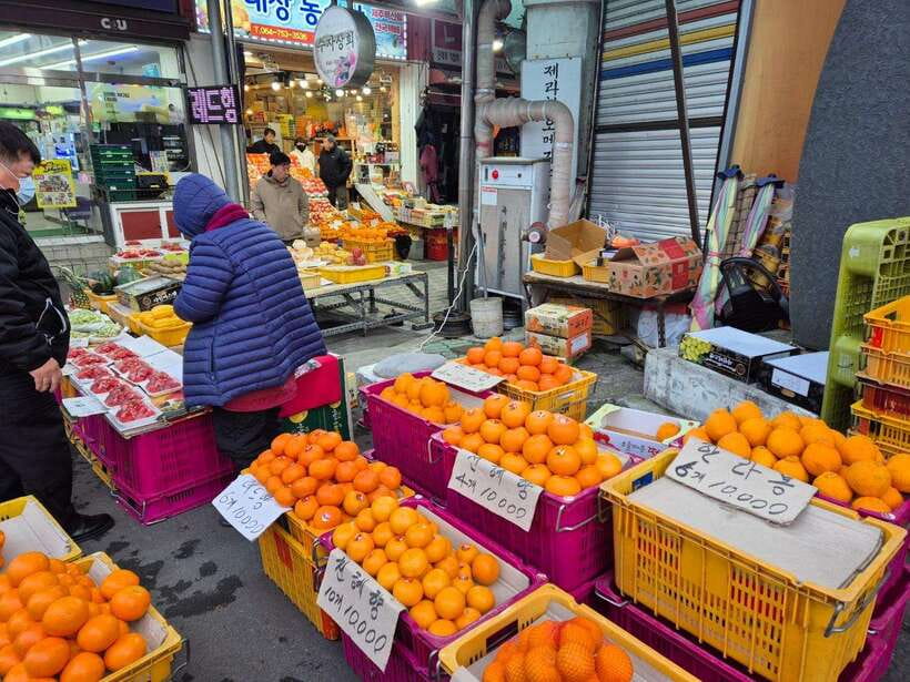 Jeju: Private Tour with an English Guide and a Vehicle - Hallasan, Oedolgae Rock, and Seogwipo Olle Market: south coast variety
