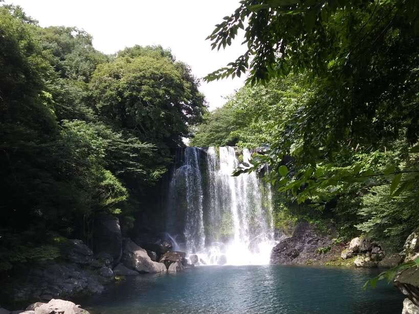 Jeju: Private Tour with an English Guide and a Vehicle - Price and value: when $345 per group actually makes sense