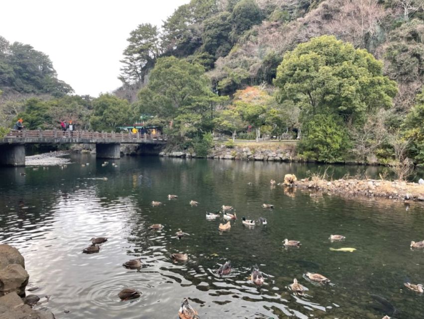 Jeju: Seogwipo City Walking Tours with Sunset - Price value and what to budget for a smooth night