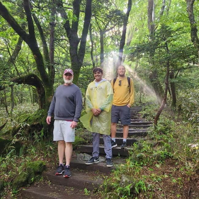 Jeju: Southern Top UNESCO Spots Bus Tour - Camellia Hill in Bloom and Eongdeongmul’s Basalt Gorge Calm