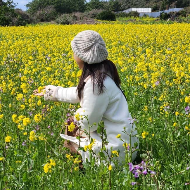 Jeju: Southern Top UNESCO Spots Bus Tour - O’sulloc Tea Museum Free Time, Then Dongmun Market for Real Jeju Eating