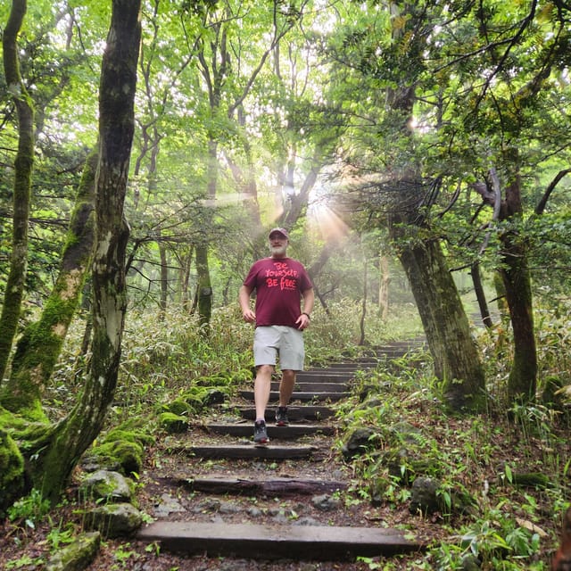 Jeju: Southern UNESCO Geopark Day Tour - O’sulloc Tea Museum, the calm payoff