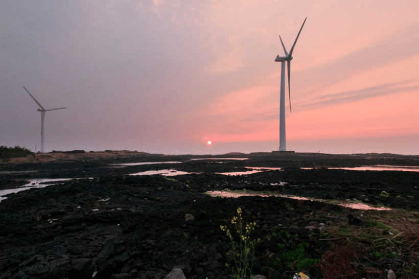Jeju Sunset Tour : Olle Trail half day tour - FAQ