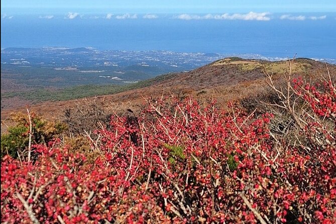 Jeju Taxi Tour KJ with Flexible scheduling - Flexible scheduling: how to shape three days that feel like yours