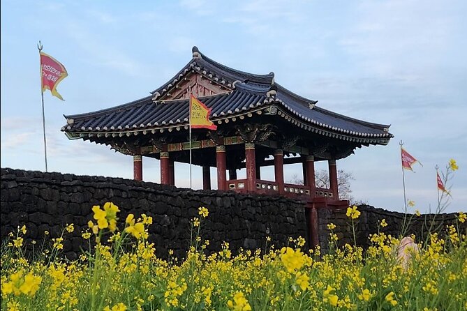 Jeju Taxi Tour KJ with Flexible scheduling - Getting the most from your driver: tickets, alternatives, and real-world problem solving