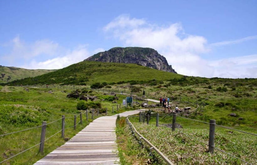 Jeju: UNESCO Day Tour for Cruise Guests - Hallasan National Park: Hallasan 1100 Wetland or Eorimok