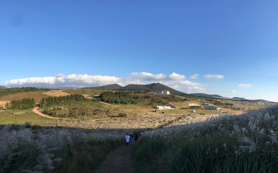 Jeju: West of Jeju Island Bus Tour from Seogwipo City - Value for $88: what you get and where the real cost shows up