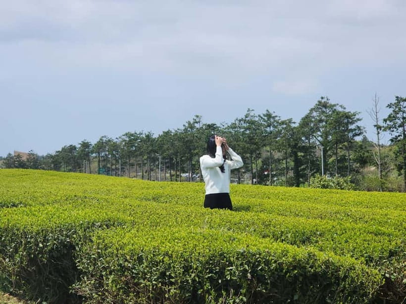 Jeju: West & South Full-Day Authentic Tour - A fast way to cover Jeju’s west and south