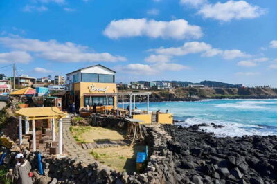 West & South Full-Day Authentic Tour