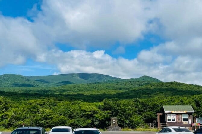 Jeju Western and Southern Routes Sightseeing Day Tour - Price and what $51.92 gets you