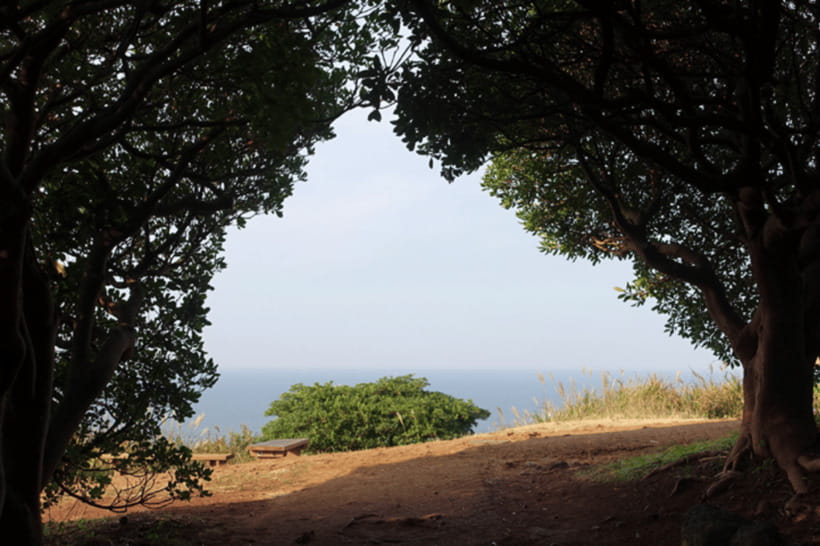 Jeju: Western Jeju K-Drama Spots Tour with Hotel Pickup - Key Points You’ll Care About