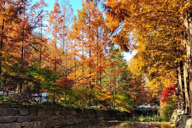 Jeonju Hanok Village Full-Day Tour: Jangtaesan Autumn Foliage - Quick highlights