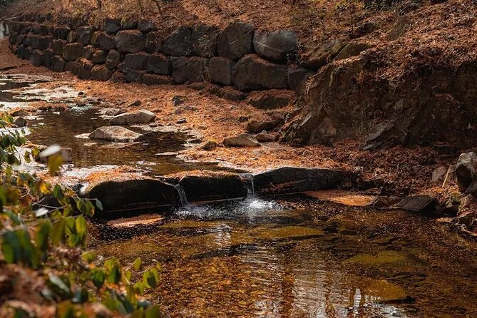 Jeonju Hanok Village Full-Day Tour: Jangtaesan Autumn Foliage - Jangtaesan Autumn Forest Walk: Two Hours of Fall Color
