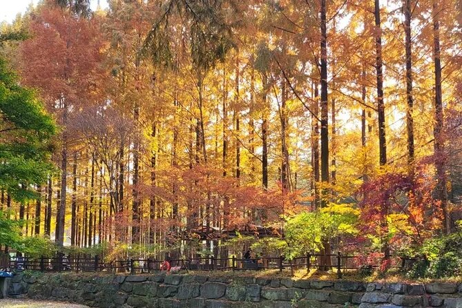 Jeonju Hanok Village Full-Day Tour: Jangtaesan Autumn Foliage - Price and Value: Does $60.17 Actually Make Sense?