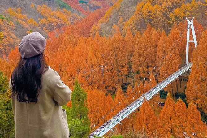 Jeonju Hanok Village Full-Day Tour: Jangtaesan Autumn Foliage - Weather and Day-of Changes: How to Stay Flexible