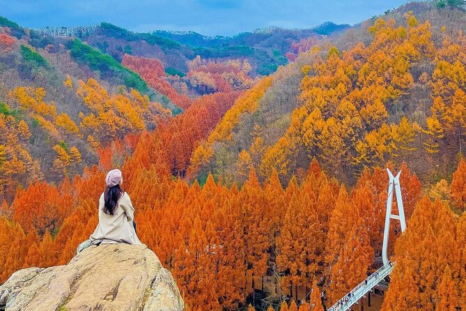 Jeonju Hanok Village Full-Day Tour:Jangtaesan Autumn Foliage - Jangtaesan autumn foliage: viewpoints plus a short uphill push