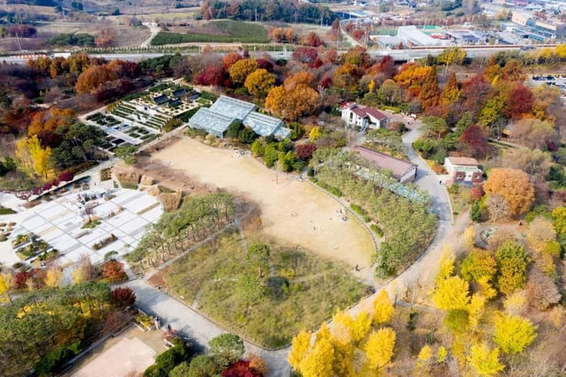 Jeonju: Private Taxi Tour Car Charter - Deokjin Park, the Arboretum, and Ajung Lake for a breather