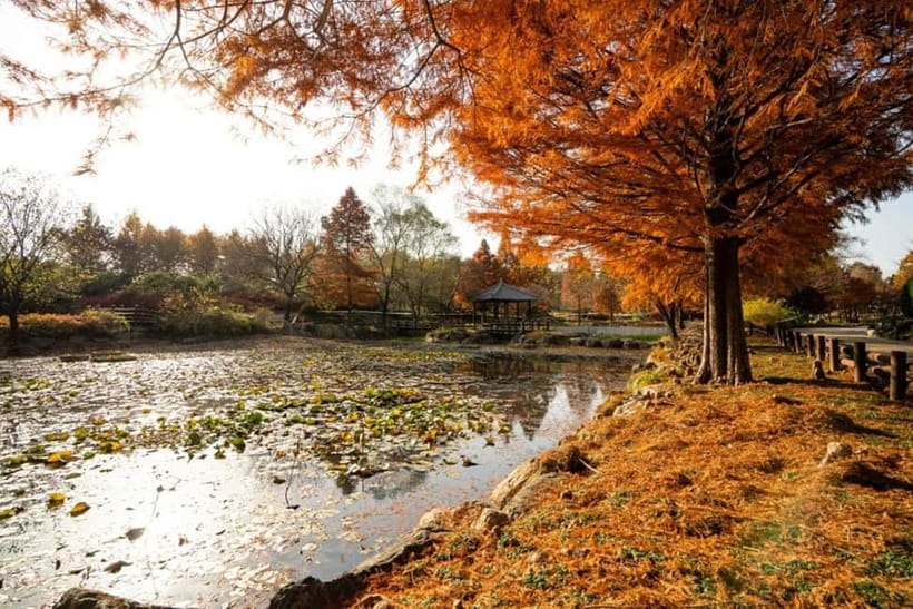 Jeonju: Private Taxi Tour Car Charter - Railbike ideas and Donggosa Temple if you want variety