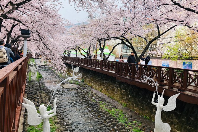 Jinhae Cherry Blossom + Busan Sunrise from Seoul - Why Jinhae Cherry Blossoms plus Busan Sunrise in one trip works