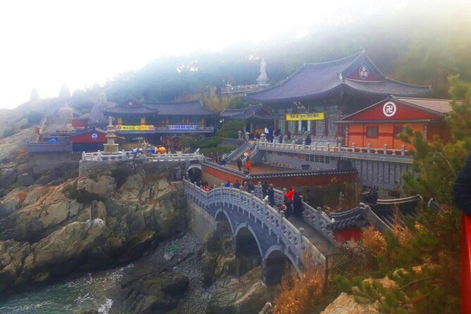 Jinhae Cherry Blossom + Busan Sunrise from Seoul - Gyeonghwa Station Cherry Blossom Road: more visual wall-to-wall time