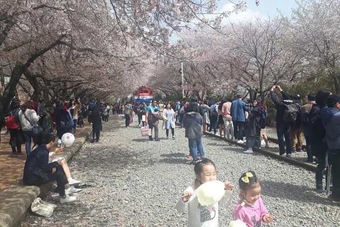 Jinhae Cherry Blossom + Busan Sunrise from Seoul - Returning to Seoul: drop-off choices and how to get to Hongik Univ. easily