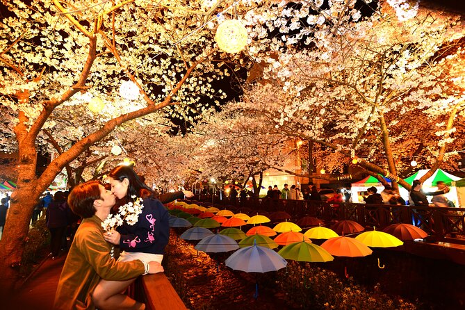 Jinhae Cherry Blossom Day trip from Busan - A Spring Adventure! - Timing Tips for a Full 7 to 8 Hour Spring Day