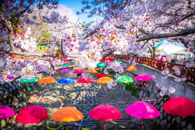 Jinhae Cherry Blossom Festival Gyeonghwa Stn Day Tour from Seoul - Getting to Yeojwacheon Stream: The Best Starting Point