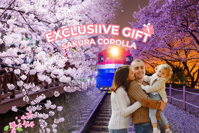 Jinhae's Cherry Blossoms Shuttle Bus depart from Seoul/Busan - Town Naval Port Festival: Where Culture Meets Spring Scenes